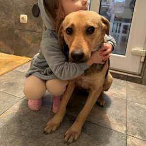 HOSHI (♀) - ausgereist zum TST Rösrath (AL)