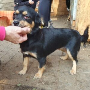 MINU - auf PDR PS im PLZ Bezirk 18 - vermittelt