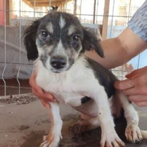 ZERA - auf PDR PS im PLZ Bezirk 48 - vermittelt