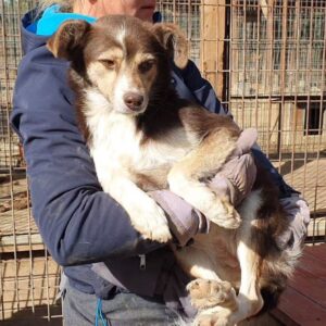 SIRKA - ausgereist zum TST Rösrath