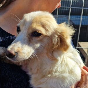 MABLE - vermittelt MD