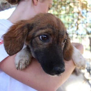 POKA - vermittelt MD