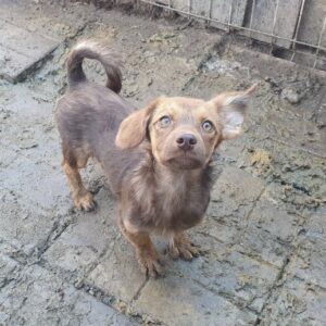 MARIECHEN - auf PDR PS im PLZ Bezirk 15 - vermittelt