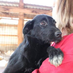 JAYNA - auf PDR PS im PLZ Bezirk 21 - vermittelt