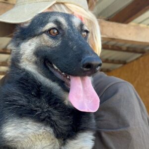 LEXA (♀) - RBB 10/24