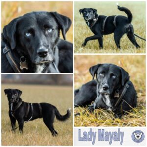 Lady Mayaly in 96172 Mühlhausen