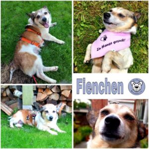 Fienchen (♀) in 21493 Mühlenrade - vermittelt