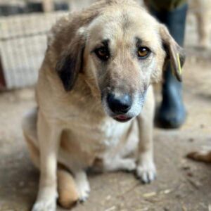 ATIA - medizinischer Notfall (♀)