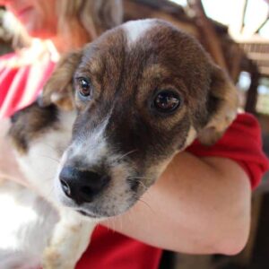 JOKI - ausgereist zum TH Iserlohn