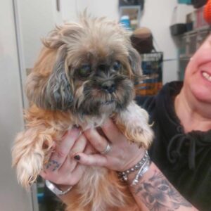 TARAH (♀) - als PDR GPH auf PDR PS