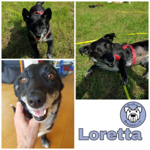 Loretta in 23715 Bosau *vermittelt*