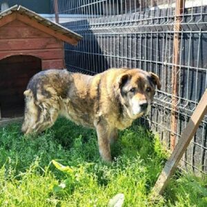 VLADIMIR - RBB 09/23