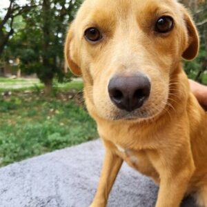 BACCARA - vermittelt Alexandra