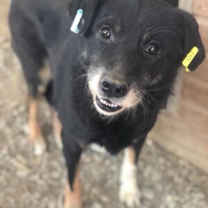 FRITZCHEN - RBB 01/23