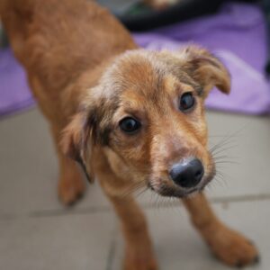 PHILADELPHIA - reserviert JW vermittelt