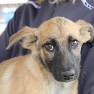 EVI - RBB 09.12.2022