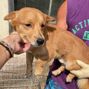 PEEWEE - reserviert TST Rösrath 18.09 vermittelt