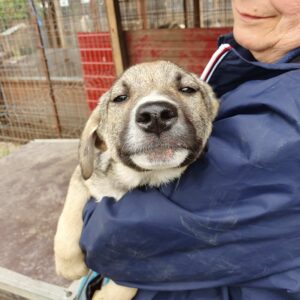 WIAM - vermisst 12/24