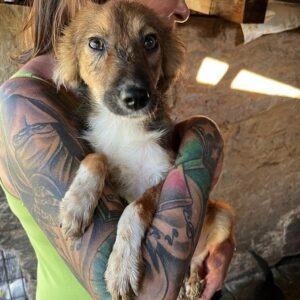 LINDIA - auf PDR PS im PLZ Bezirk 15 - vermittelt