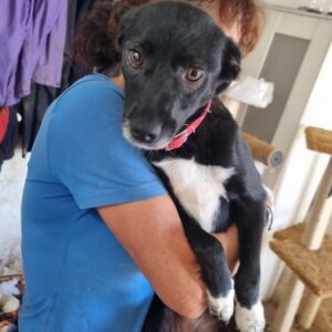 LANAKA - reserviert KM vermittelt