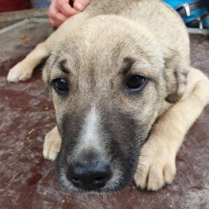 MARITTA - vermisst 12/24