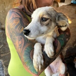 LUCHA - ausgereist zum TST Rösrath