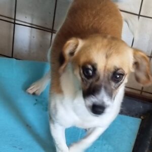 VIVANA reserviert NadineH (09/09) vermittelt