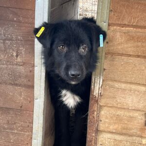 JENNA - vermisst 06/23