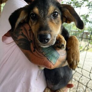 STINA - vermisst 11/24