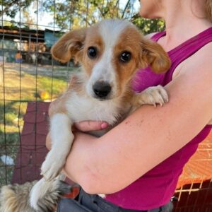 DELYA - vermittelt Alexandra