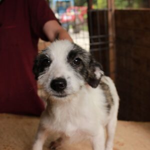 MALINA - reserviert PVA vermittelt