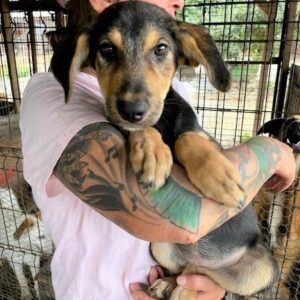 MINNA - vermisst 11/24