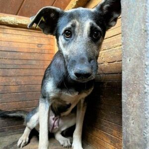 CATLYN - vermittelt Nadine H.