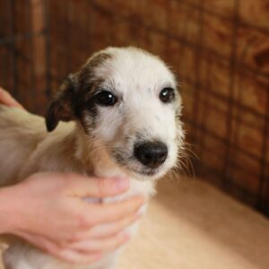 MAKENA - reserviert TH Tuttlingen vermittelt