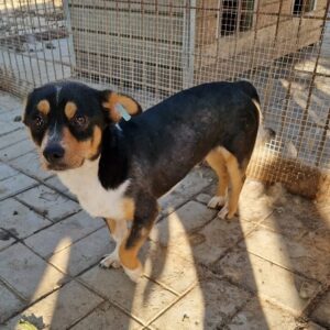 KEYLAM - vor Ort vermittelt 10/23