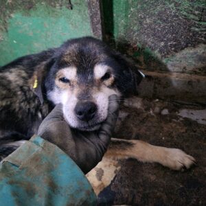 ALFONSO - RBB 12/2022