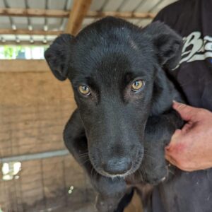 MARIE CURIE - RBB 08/2022