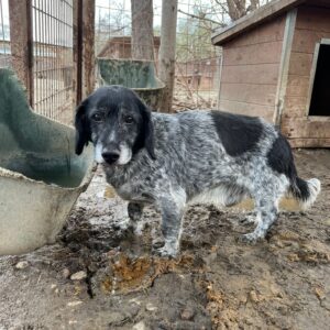 FRIEDRICH - RBB 04/23