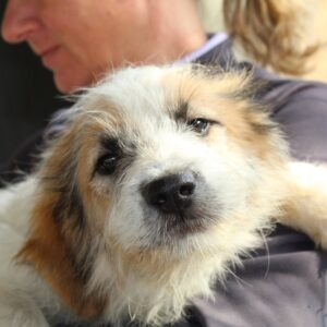 JADON - vermisst 03/23