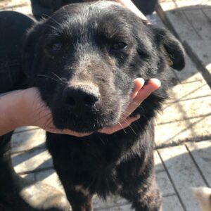 NADIA - RBB 24.10.2022