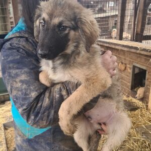 JOCHEN - reserviert JW - vermittelt