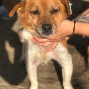 BUGATTI - RBB 01/2023