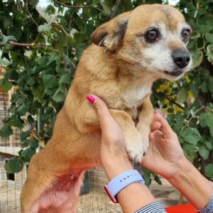 MOUSE - reserviert LS vermittelt