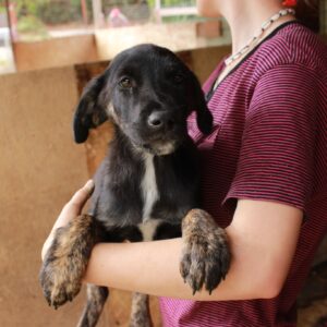 MIRENDA - reserviert JW vermittelt