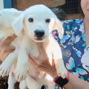 IGNAZ - vermittelt MD