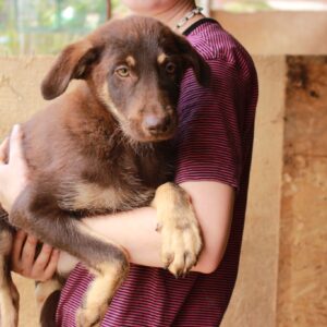 NADA - reserviert LS (28.9) vermittelt