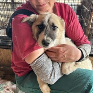 PANJA - vor Ort vermittelt