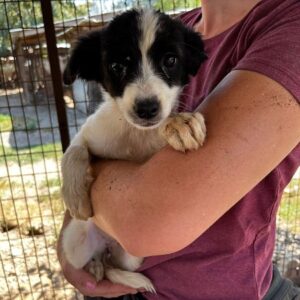 MERCY - vermittelt MD