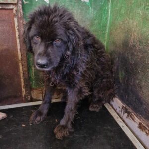 CHARMING (⚤) - vermisst 11/24