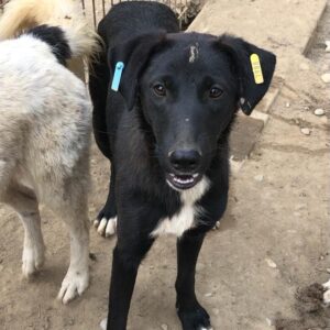 MADAME - reserviert IH DR (12.09.) - vermittelt